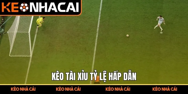 Kèo tài xỉu tỷ lệ hấp dẫn